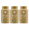 Bundle Ginger 3x