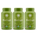 Paquete Moringa 3x