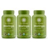 Bundle Moringa 3x