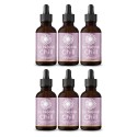 Bundle chill tincture 6x