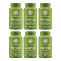 Paquete Moringa 6x