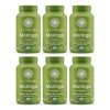 Paquete Moringa 6x