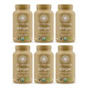 Bundle Ginger 6x