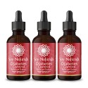 Bundle Diabetes Control Tincture 3X