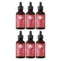 Bundle Diabetes Control Tincture 6X