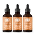 Bundle Digestive Balance Tincture 3x