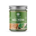 Gold Sea Moss Gel with Moringa 16 oz