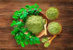 Which is the best moringa?
